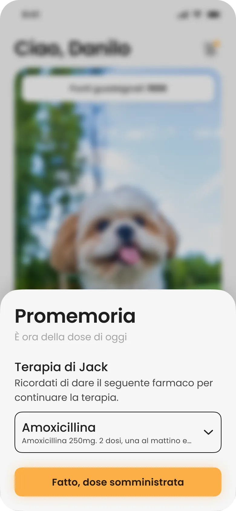 Dog and Dog — dose reminder